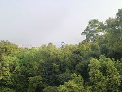 -南山植物园