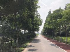 -上海长兴岛郊野公园