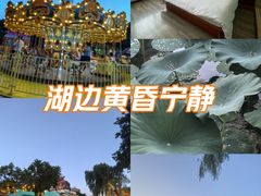 -北陵公园