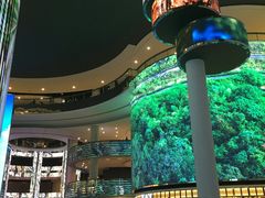 -云顶高原