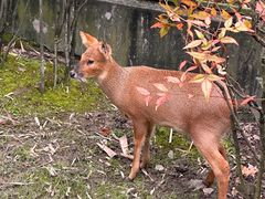 -上海动物园(地铁站)