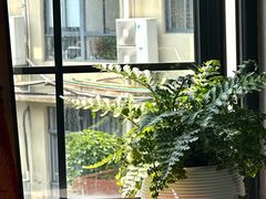 -nodcafe(M50创意园店)