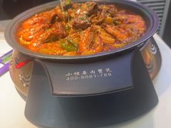-徐记小怪兽肉蟹煲(中央大街店)