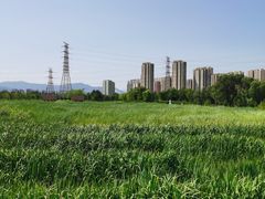 -永定河休闲森林公园