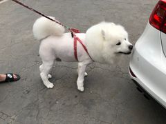 -宠福鑫康馨动物医院·骨科·眼科