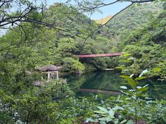 -宁海森林温泉