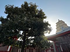 -大慈恩寺(大雁塔)
