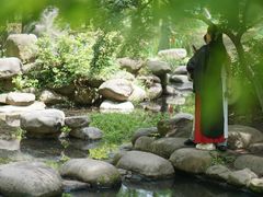 -上海共青森林公园