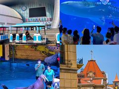 -烟台海昌鲸鲨海洋公园