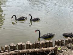 -沈阳森林动物园