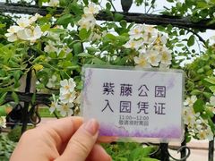 -嘉定紫藤园
