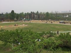 -秀丽东方