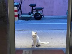 -不问豆腐(朝山街店)