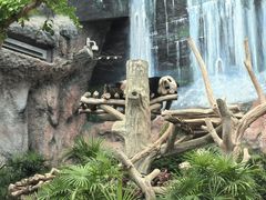 -石排湾郊野公园