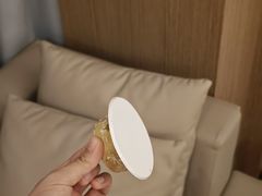 -绿城千岛湖喜来登度假酒店