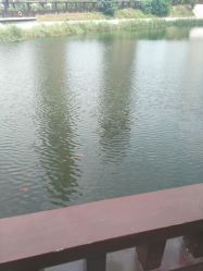 -青岛妇女儿童医院(辽阳西路院区)