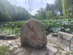 -清华大学-甲所餐厅