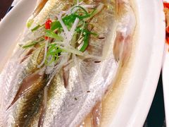 -老苏州芳和园茶酒楼  传统苏帮菜(观前店)