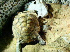 android_upload_pic-上海大自然野生昆虫馆