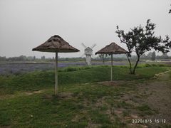 -北京东方普罗旺斯薰衣草庄园