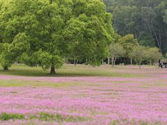 -福建鲤鱼洲酒店