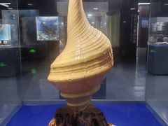 -贝壳王国博物馆