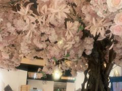 -番茄犟汤锅(东坝店)