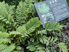 -北京植物园-展览温室