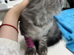 -美美宠物诊疗中心·异宠·骨科(滨江东信分院)
