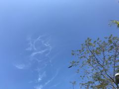 -南丫岛