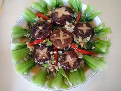 -大班家政月嫂育儿嫂(总部店)