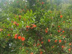 -上海东方佘山翰悦阁酒店·Vie全日制餐厅