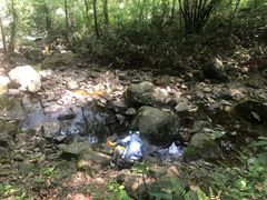 -白云源风景区
