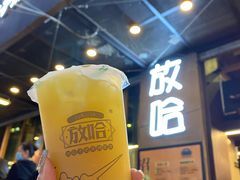 甜醅子绿茶-放哈·甜醅子奶茶创造者(正宁路店)