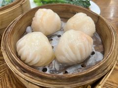 -富豪酒家(正大广场店)