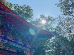 -天女山森林公园