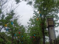 -洛阳市隋唐城遗址植物园