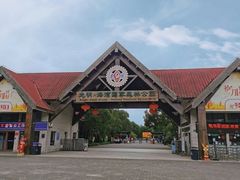 -上海海湾国家森林公园