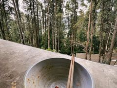 -寂照庵