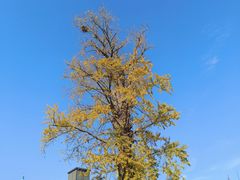 -南通博物苑-崇川人民公园