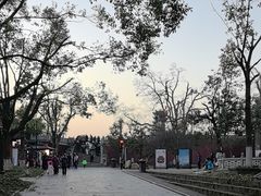 -岳阳楼景区