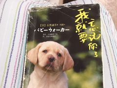 -海底捞火锅(石厦时代广场店)