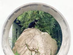 -上海方塔园