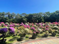 -三亚蜈支洲岛旅游区