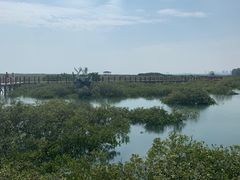 -北海金海湾红树林生态旅游区