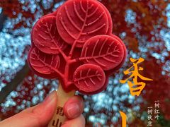 -香山公园