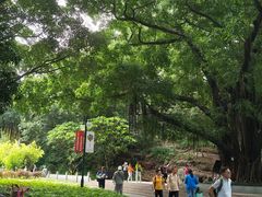 -晓港公园