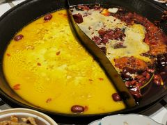 金汤板栗鸡鸳鸯锅-朱光玉火锅馆(正弘城店)