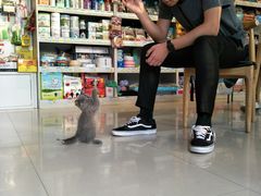 -我爱吾宠宠物美容院(朝阳路店)