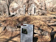 -崂山巨峰游览区